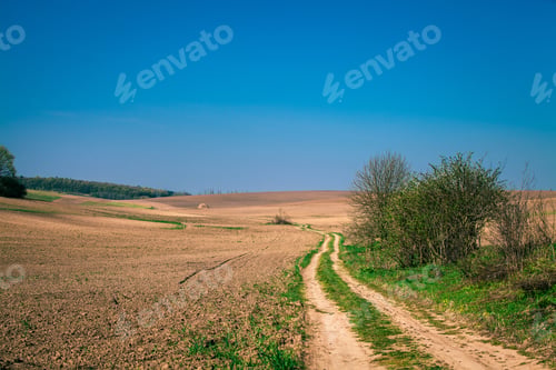 Preview: Green Field And Beautiful Sunset