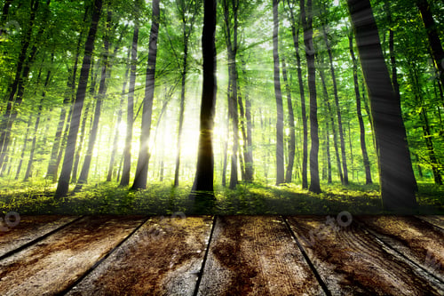 Preview: Wood Textured Backgrounds