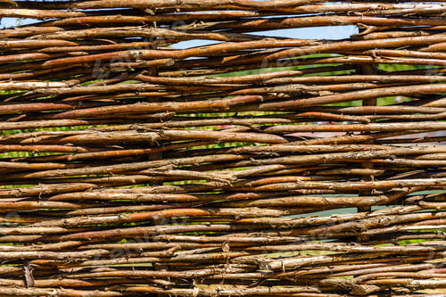 Preview: Texture Of The Wicker Fence For Background