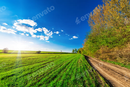 Preview: Beautiful Morning Green Field With Blue Heaven