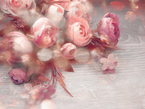 Preview: Peony Flowers Bush Floral Spring Background Greeting Card