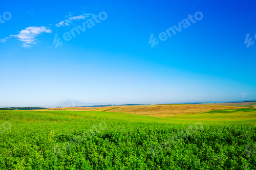 Preview: Green Grass Under Blue Sky