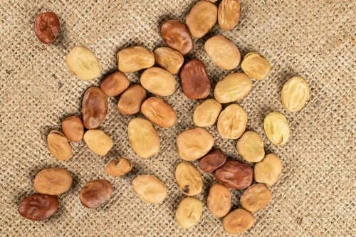 Preview: Lot Of Whole Fresh Brown Bean Vicia Faba Flatlay On Jute Cloth