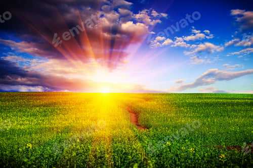 Preview: Green Field