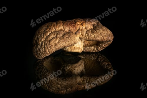 Preview: One Whole Dry Mushroom Shiitake Isolated On Black Glass