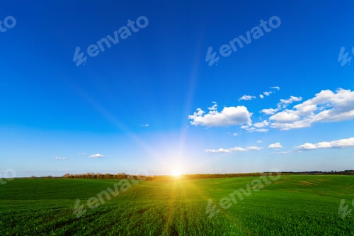 Preview: Green Field And Beautiful Sunset