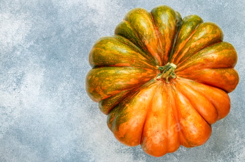 Preview: Large Ripe Organic Pumpkin On A Concrete Background. Healthy Food, Diet, Vegetarian. Selective