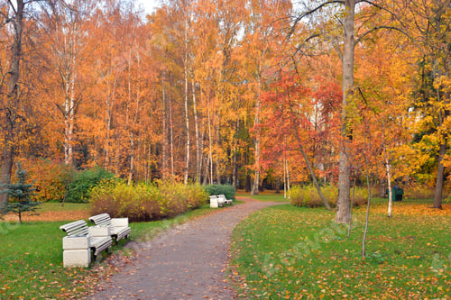 Preview: Pathway In Park At Autumn At Cloud Day, Russia.