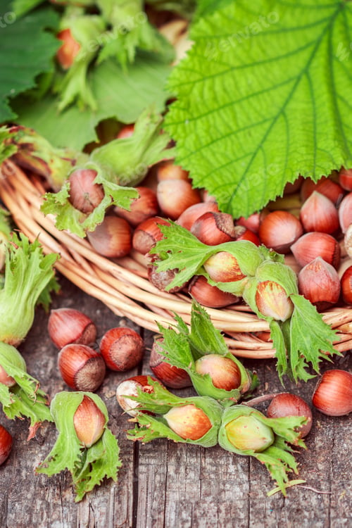 Preview: Hazelnut In Shell With Leaves On A Wooden Table. Rustic Style. Selective Focus