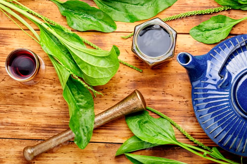 Preview: Healing Herbal Tea From Plantain.Teapot With Medicinal Herbal Tea.Herbal Medicine