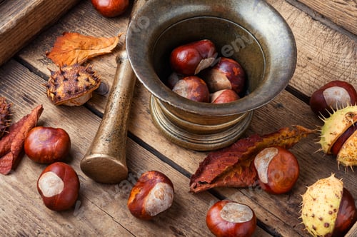 Preview: Chestnut And Its Ingredients In Herbal Medicine.Ripe Chestnuts On Old Wooden Table