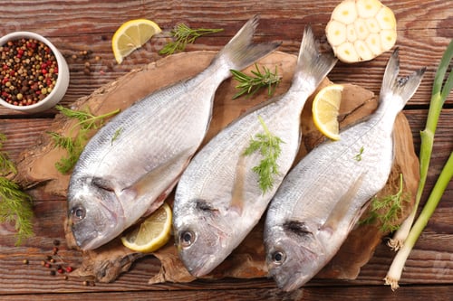 Preview: Raw Fish On Board
