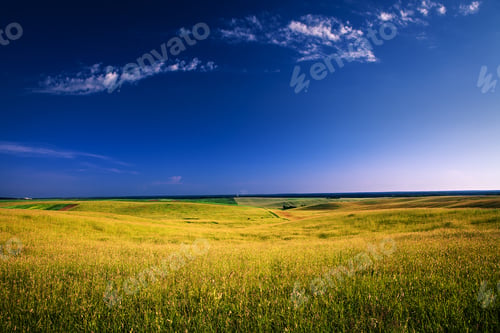 Preview: Green Grass Under Blue Sky
