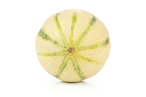 Preview: One Whole Globe Fresh Melon Cantaloupe Variety Isolated On White Background
