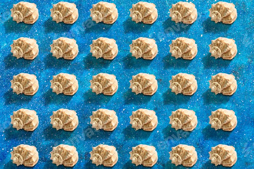 Preview: Seashells Pattern On The Blue Nautical Background. Vacation Concept, Sea Card. A Trendy Hard Light