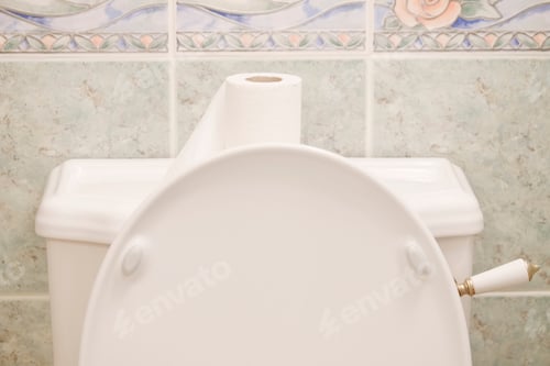Preview: Victorian Toilet Cistern And Paper Roll With Pan Lever Flush Close Up Detail In Bathroom