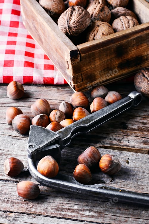 Preview: Nutcracker With Hazelnuts.Autumn Harvest Walnuts And Hazelnuts On Wooden Background
