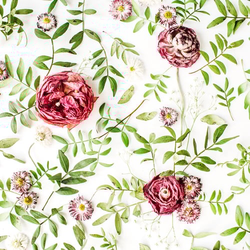 Preview: Floral Texture. Pink Roses And Green Leaves On White Background. Flat Lay, Top View