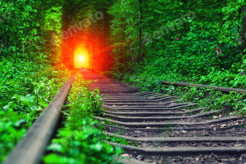 Preview: A Railway In The Spring Forest Tunnel Of Love