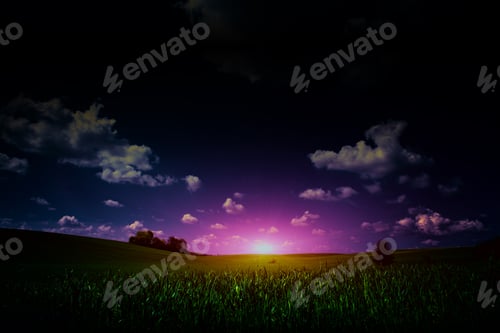 Preview: Large Beautiful Spring The Field With A Distant Kind On A Forest In Night And Bright Moon On Sky