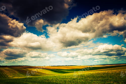 Preview: Green Grass Under Blue Sky