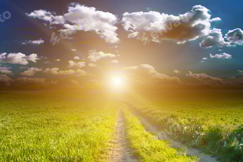 Preview: Green Field And Beautiful Sunset