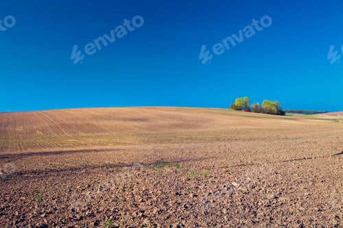 Preview: Plowed Field And Cloudy Sky In Sunset