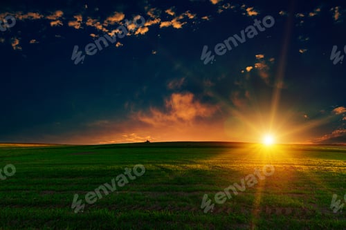 Preview: Green Field And Beautiful Sunset