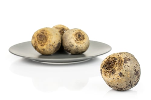 Preview: Group Of Four Whole Raw Red Beetroot On Gray Ceramic Plate Isolated On White Background