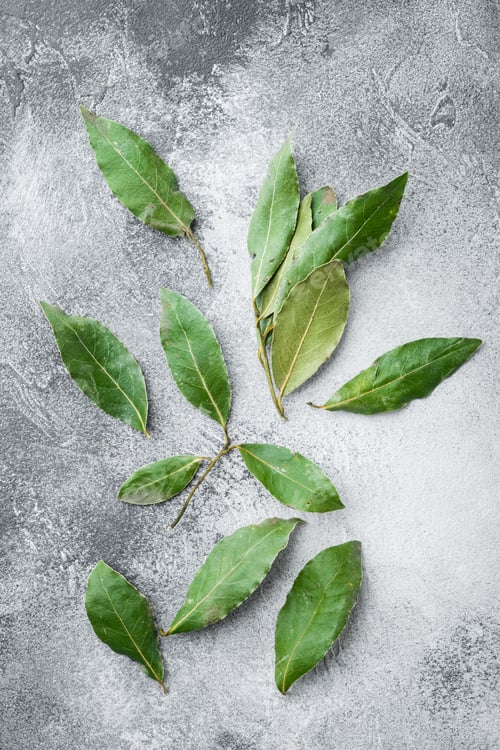 Preview: Green And Fresh Laurel Bay Leaf Set, On Gray Stone Background, Top View, Flat Lay