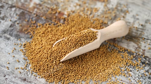 Preview: Grains Of Mustard In A Wooden Spatula. Selective Focus. Macro.