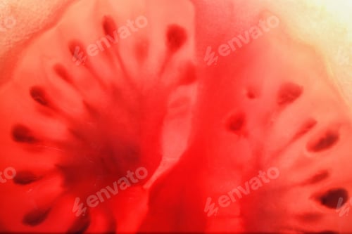 Preview: Red Tomato Cut In Half With The Texture Of Seeds And Pulp