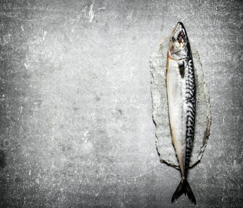 Preview: Raw Fish Mackerel . On A Stone Background.