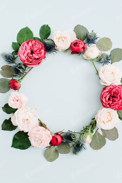 Vista previa: Flower Frame Wreath Made Of Beige And Red Roses, Eucalyptus Branches On Pale Pastel Blue