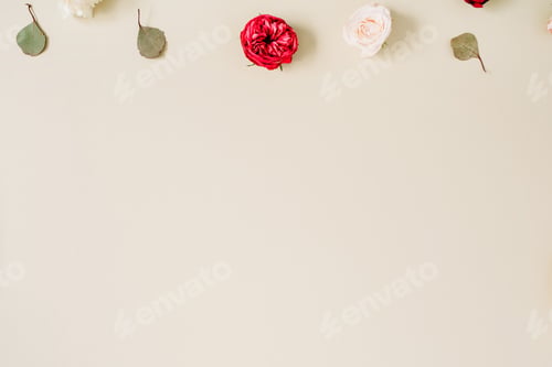 Preview: Blog Or Website Hero With Beige And Red Roses, Eucalyptus Leaf On Pale Pastel Beige Background