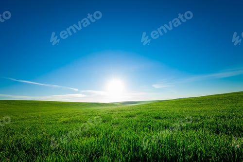 Preview: Green Field And Beautiful Sunset