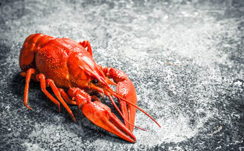 Preview: Welded River Crayfish. On A Rustic Background.