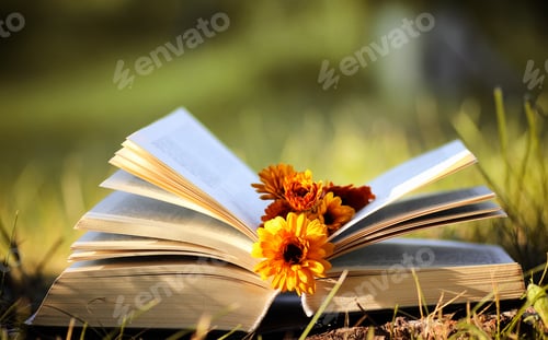 Preview: Opened Book In Yellow Autumn