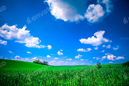 Preview: Green Field And Beautiful Sunset