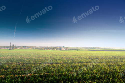 Preview: Green Field And Beautiful Sunset