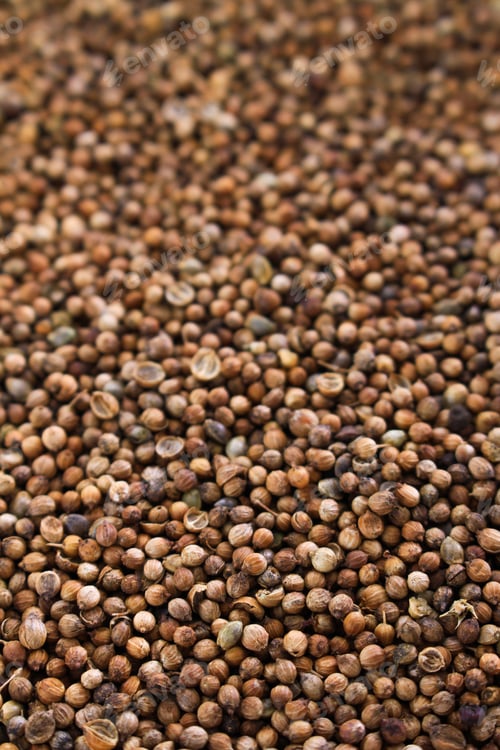 Preview: Dried Corriander Seeds Spice