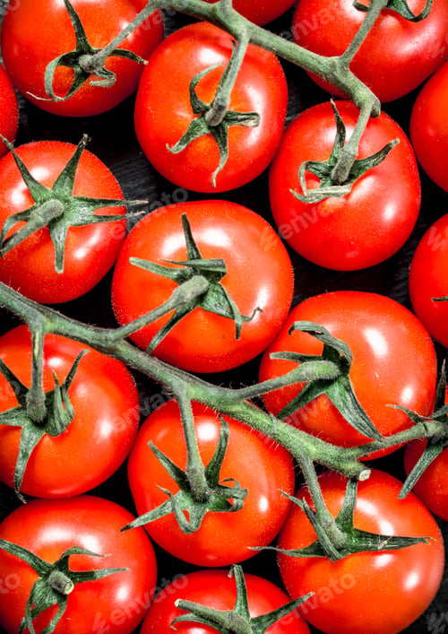 Preview: Fresh Ripe Tomatoes. Top View