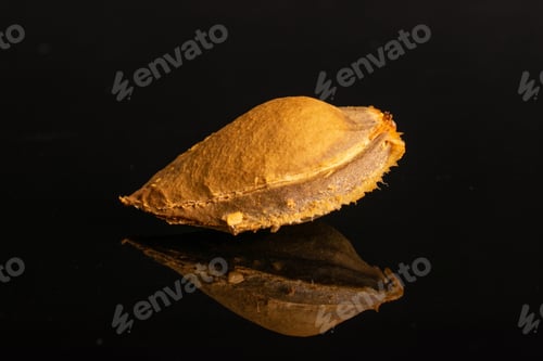 Preview: An Apricot Stone Isolated On Black Glass
