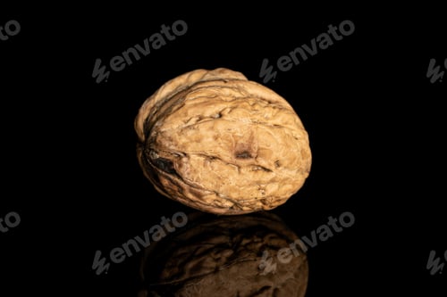 Preview: One Whole Fresh Brown Walnut Isolated On Black Glass