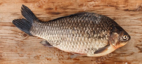 Preview: Crucian Carp
