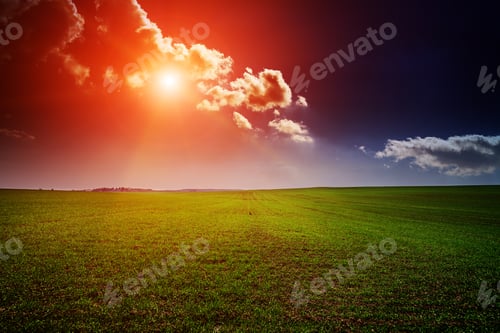 Preview: Green Field,Blue Sky And Sun.