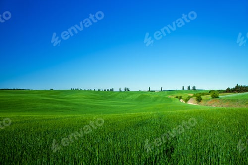 Preview: Green Field And Beautiful Sunset