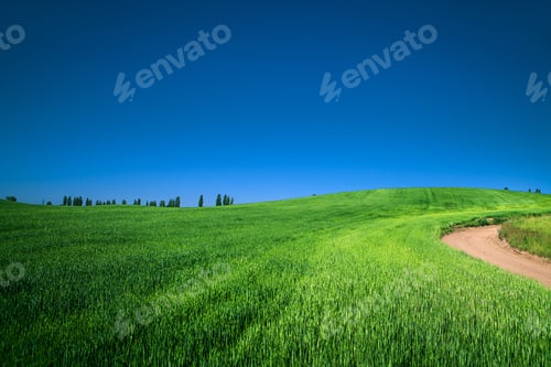 Preview: Green Field And Beautiful Sunset