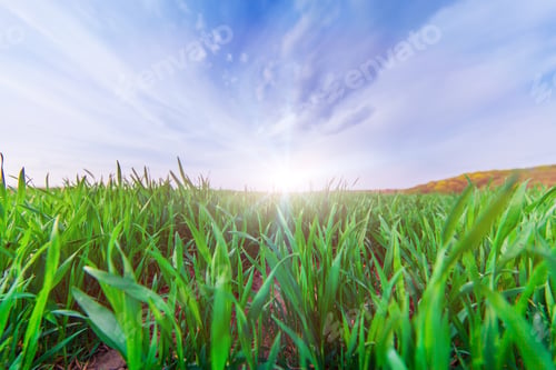 Preview: Plowed Field And Cloudy Sky In Sunset