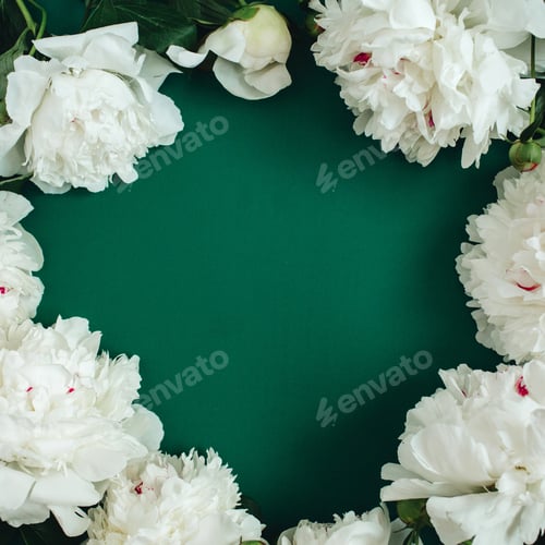 Preview: Frame Wreath Of White Peony Flowers, Branches, Leaves And Petals With Space For Text On Green